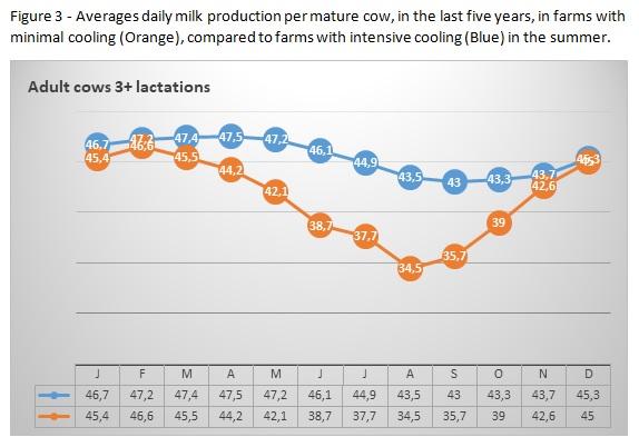 How much milk adds intensive cooling in the summer to the annual yield of young and mature cows - Image 3