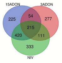 FIGURE 3 | A Venn diagram of differentially expressed genes (FDR ≥ 0.05) for contrasts of Fusarium treatment (3ADON, 15ADON, and NIV chemotypes) vs. mock control under the additive generalized linear model (GLM).