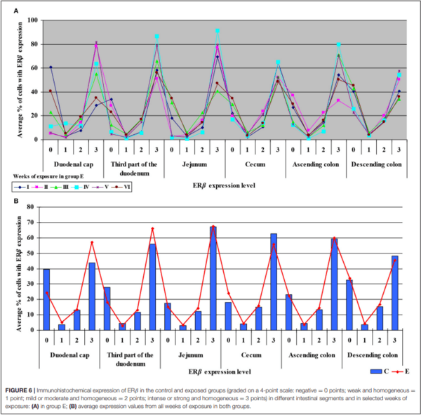 The Effect of 42-Day Exposure to a Low Deoxynivalenol Dose on the Immunohistochemical Expression of Intestinal ERs and the Activation of CYP1A1 and GSTP1 Genes in the Large Intestine of Pre-pubertal Gilts - Image 7