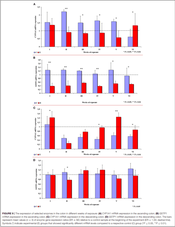 The Effect of 42-Day Exposure to a Low Deoxynivalenol Dose on the Immunohistochemical Expression of Intestinal ERs and the Activation of CYP1A1 and GSTP1 Genes in the Large Intestine of Pre-pubertal Gilts - Image 11