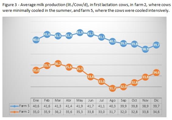 How intensive cooling in summer affects fertility of young and adult cows? - Image 3
