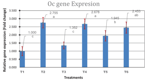 Effect of strontium ranelate and cerium oxide addition in the diet on bone quality and expression level of osteocalcin and alkaline phosphatase genes in broiler chicken - Image 6