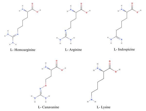 FIGURE 2 Nutritional antagonists of arginine. Created with BioRender.com (26 November 2023).