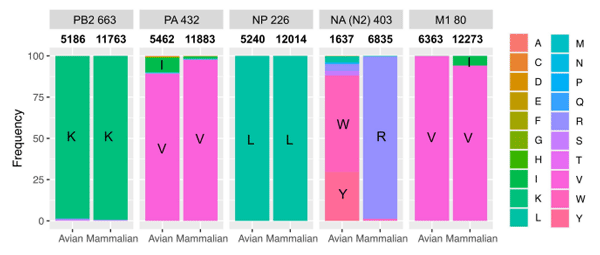 FIGURE 3 Absence of molecular markers from P5Ch32/H4N2 suggest fitness cost in nature. NCBI database was searched for NA N403K, PB2 K663E, PA V432I, NP L226I and, M1 V80I. Numbers between title of the panel and bar plots show the total number of sequences analyzed.