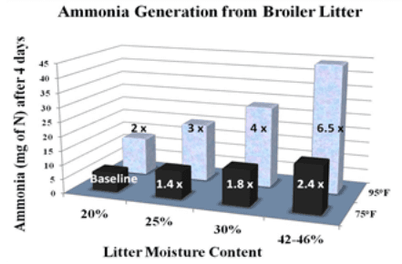 Ammonia importance and Litter Treatment in modern poultry production - Image 2