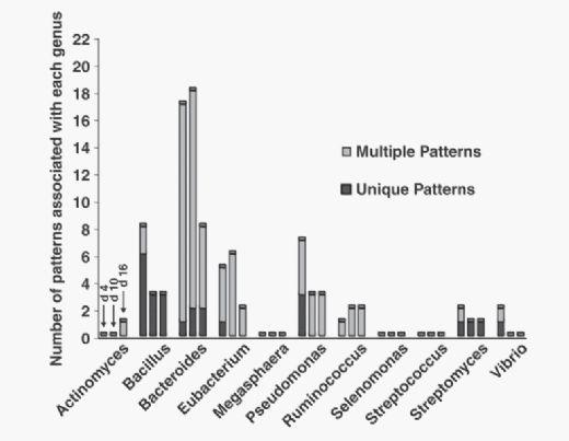  Effects of Antibiotics and Oil on Microbial Profiles and Fermentation - Image 7