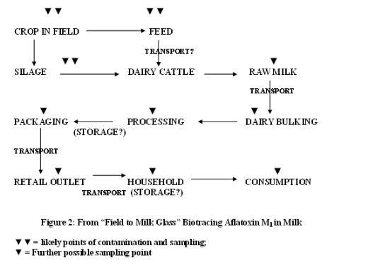 Mycotoxins in South African Foods: A Case Study on Aflatoxin in Milk - Image 2