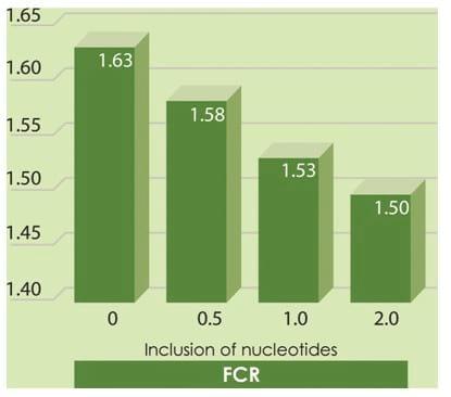 The Use of Nucleotides in Animal Feed - Image 10