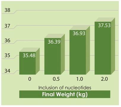 The Use of Nucleotides in Animal Feed - Image 9