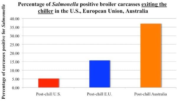 Intervention Strategies for Reducing Salmonella Prevalence on Ready-to-Cook Chicken - Image 28