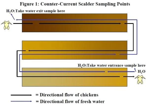 Intervention Strategies for Reducing Salmonella Prevalence on Ready-to-Cook Chicken - Image 16