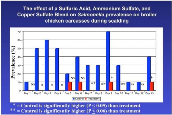 Intervention Strategies for Reducing Salmonella Prevalence on Ready-to-Cook Chicken - Image 21