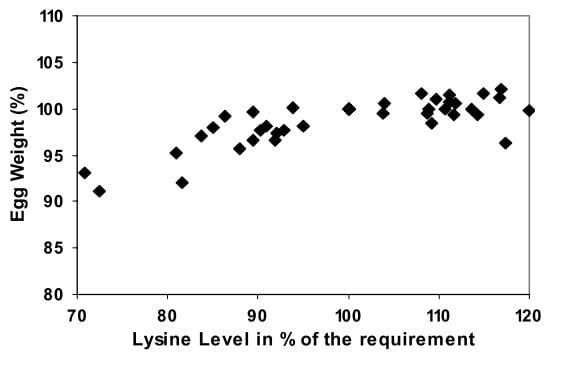 Reevaluation of Amino Acid Requirements for Laying Hens. Part 2: Lysine Requeriment - Image 9