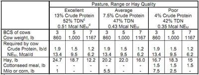Strategic Supplementation of Beef Cows to Correct for Nutritional Imbalances - Image 1