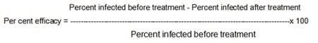 Efficacy of Anthelmintic Therapy in Backyard Poultry - Image 2