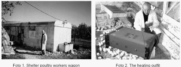 Alternatives to Broiler Chickens Breeding in Peasant Households - Image 3