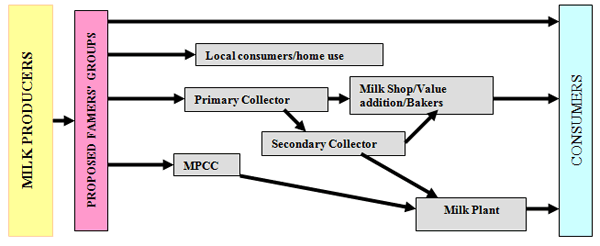 Small Dairy Holder Milk Marketing Model: A case Study in Pakistan - Image 2
