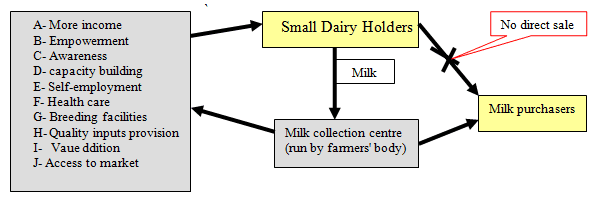 Small Dairy Holder Milk Marketing Model: A case Study in Pakistan - Image 3