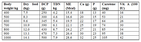 Nutritional Requirements of Breeding Bulls at Various Ages - Image 3
