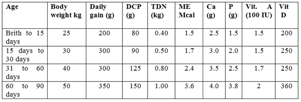 Nutritional Requirements of Breeding Bulls at Various Ages - Image 1