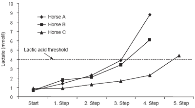 A novel, knowledge-based concept for performance diagnosis and training adjustment in horses - Image 7