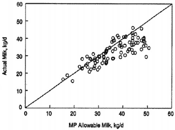 Optimization of feeding systems for dairy cattle (comparative analysis) - Image 4