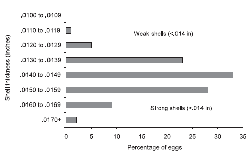 Egg Shell Quality: its Impact on Production, Processing and Marketing Economics - Image 4