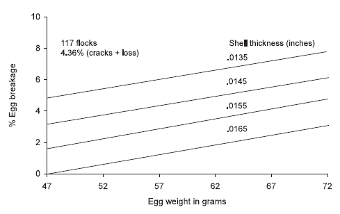 Egg Shell Quality: its Impact on Production, Processing and Marketing Economics - Image 15