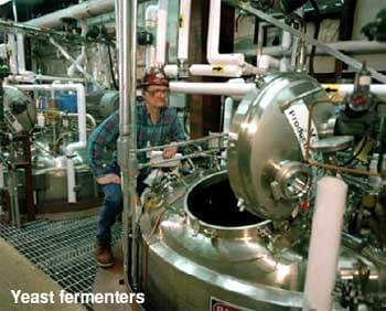 Selenium yeast production: a fully controlled fermentation process - Image 3