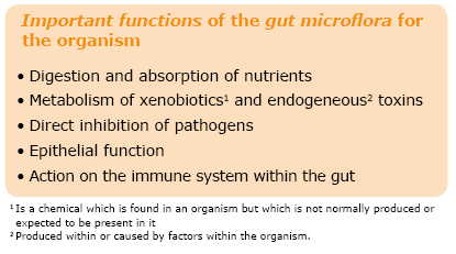 Gastro-intestinal microflora and its influence on the host - Image 2