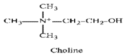Choline chloride: An Indispensable Performance Promoter in Poultry - Image 1