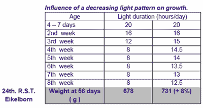 General principles of the lighting programmes during laying period - Image 2