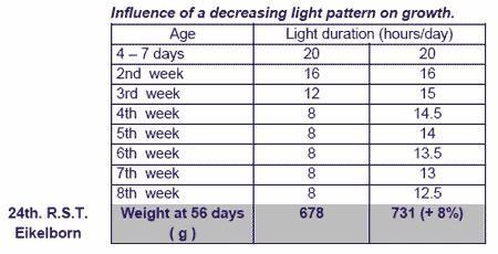 General principles of the lighting programmes in rearing period - Image 2