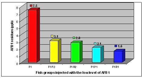 Protective effect of antioxidant medicinal herbs, Rosemary and Parsley, on subacute aflatoxicosis in Oreochromis niloticus - Image 1