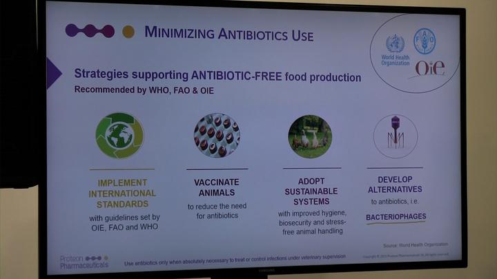Bacteriophages to minimize antibiotics use