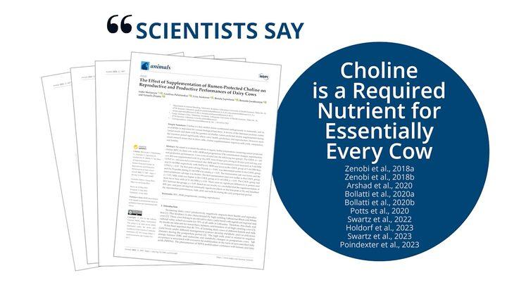 Scientists Say Choline is a Required Nutrient for All Cows