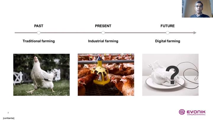 The Digital Evolution of the Poultry Industry: Imagine. Collaborate. Gain.