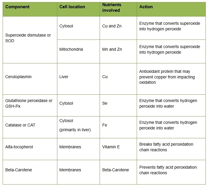 Fighting Oxidative Stress with Silvafeed® ATX - Image 1