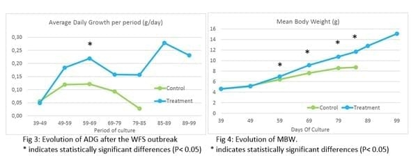 Promising results from field work in Se Asia on preventing White Feces Syndrome in white shrimp using a functional feed additive - Image 5