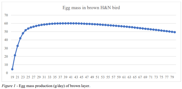 AUSTRALIA - PATH TO THE 100 WEEK AGE LAYER HEN IN CAGE FREE SYSTEMS - Image 3