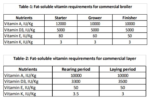 Importance of Fat-Soluble Vitamins in Poultry Health and Nutrition - Image 1