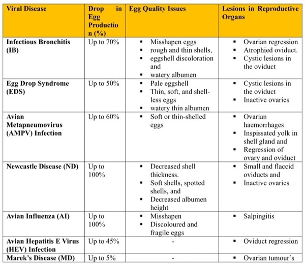 Viral Infection & Ovarian Regression: What You Need To Know? - Image 1