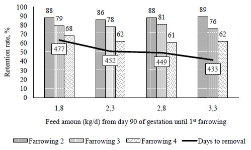 Retention rate and days to removal over four parities of gilts fed with different feed amounts during late gestation of the first reproductive cycle - Mallmann et al. (2020) – data not published.