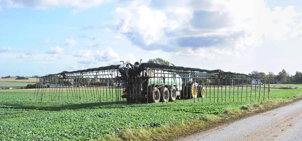 SEGES trial: SeoFoss performs well once more - Image 1