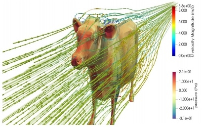 Dairy Cows: Effects of Air Velocity - Image 3