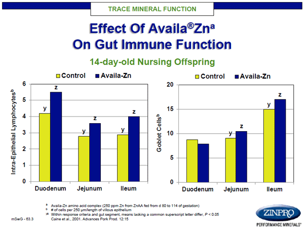 Figure 6. GI tract integrity and functional effects in newborn baby pigs after late gestation maternal supplementation with zinc amino acid complex.