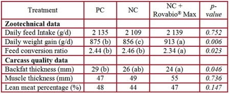 With Adisseo, beyond energy and phosphorus savings, enhance carcass quality of pigs fed corn-based diets - Image 1