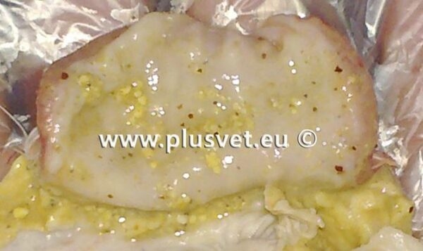 7 main causes of erosions in gizzard and proventriculus - Image 4