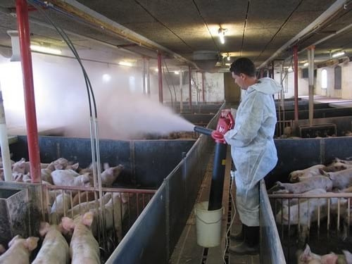 Stalosan F is able to reduce the need for antibiotics - Image 2