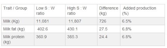 The beneficial effects of cooling cows - Image 3